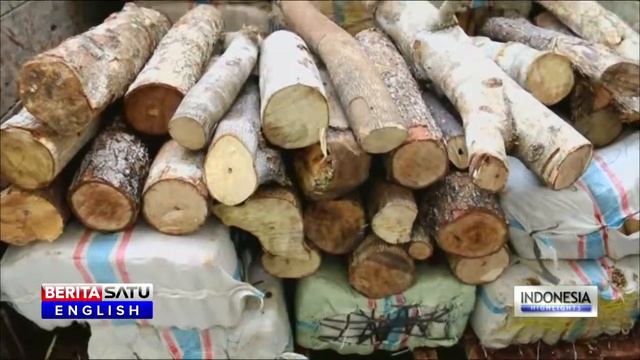 Indonesian Police Seize 8 Tons of Marijuana in Aceh Bust смотреть онлайн