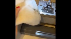 Укоротить рукав куртки