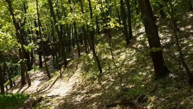 Луганские водопады. Интересные места Саратовской области.