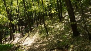 Луганские водопады. Интересные места Саратовской области.