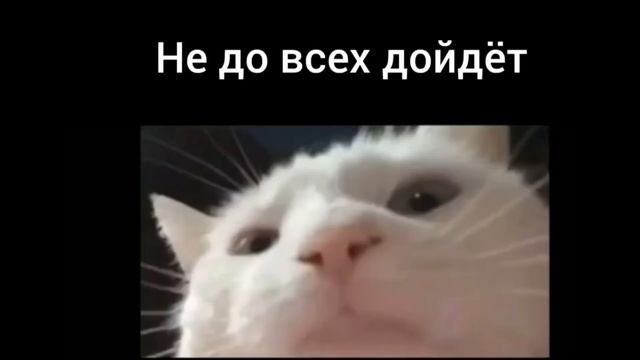 Мемный кот #4 Мемный пиражок! смотреть онлайн