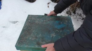 Зимовка ПЧЕЛ на СИРОПЕ и на МЁДЕ.