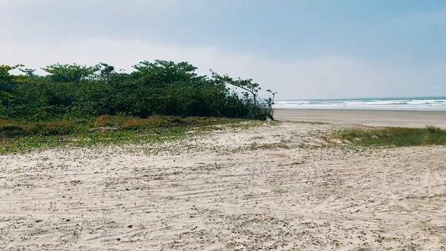 Voando de TRIKE na Praia a Asa Delta com Motor | MANAINA смотреть онлайн