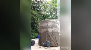 Как сделать кашпо из бетона и плитки быстро и легко