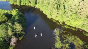 Вырица. Оредеж, вид сверху. Первый день с Dji Mavic mini