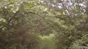 15.06.14 Артемьевские луга