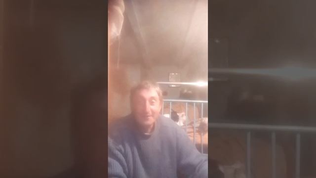 песня на стихи Сергея Есенина... клён ты мой опавший смотреть онлайн