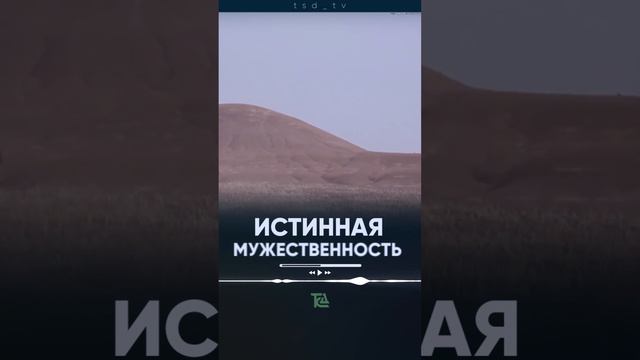 ИСТИННАЯ МУЖЕСТВЕННОСТЬ