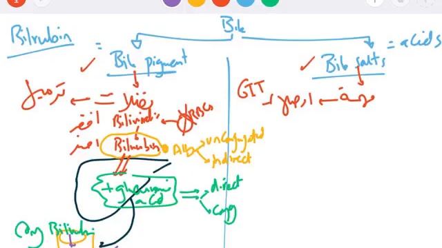 GIT 5 - liver part 1 смотреть онлайн