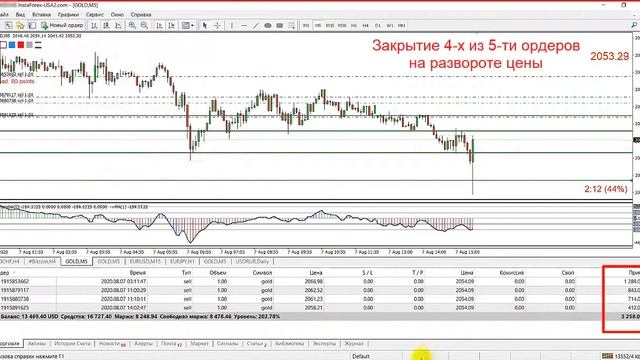 Секретная Форекс стратегия от Анны Зольд! Пример заработка на форекс 5172 USD за 1 день