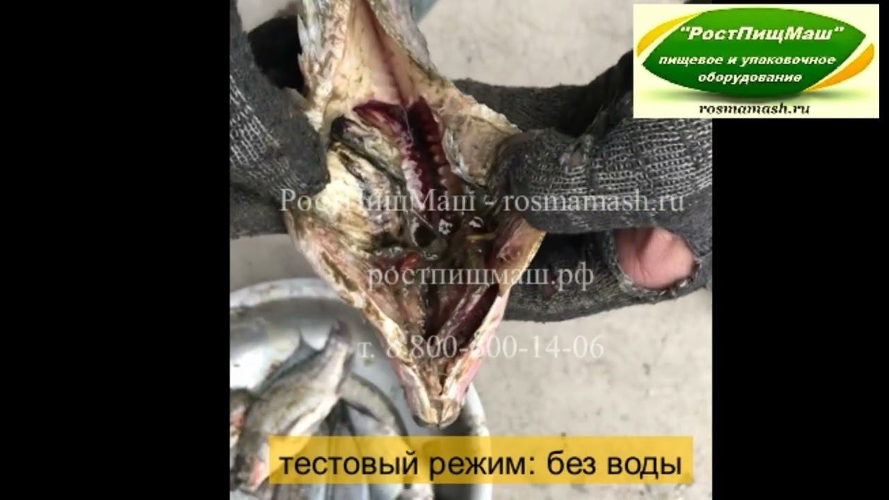 Обзор разделки мелкой рыбы на бабочку МТ-10 (без воды) от РостПищМаш смотреть онлайн