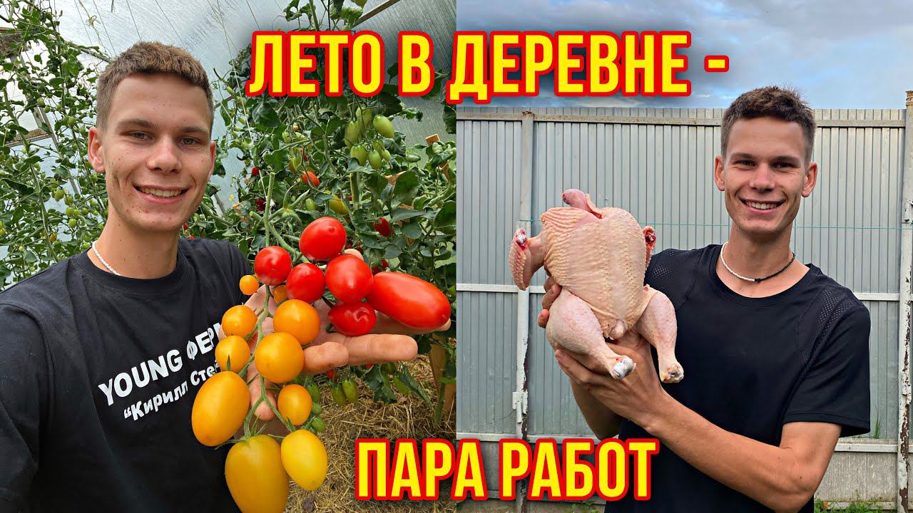 Летний день - год кормит ! Жизнь в деревне / Огород мечты Кролики, цыплята, утята смотреть онлайн