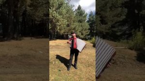 Эльдар Дибиров-- живое исполнение