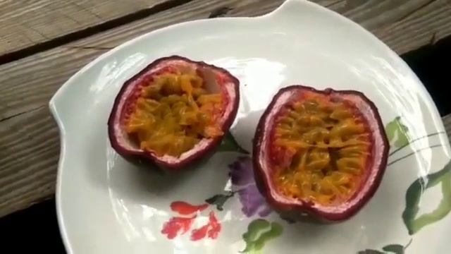 Passiflora Edulis ( Çarkıfelek ) Meyvesi - Maracujá смотреть онлайн