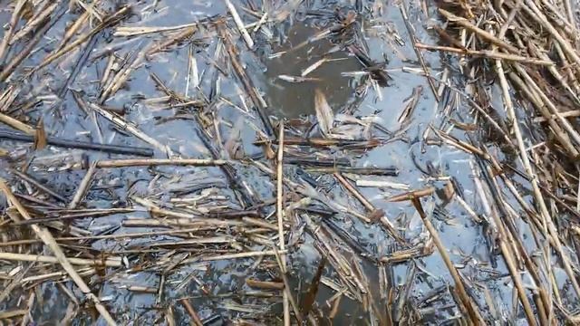 копаем в болоте смотреть онлайн