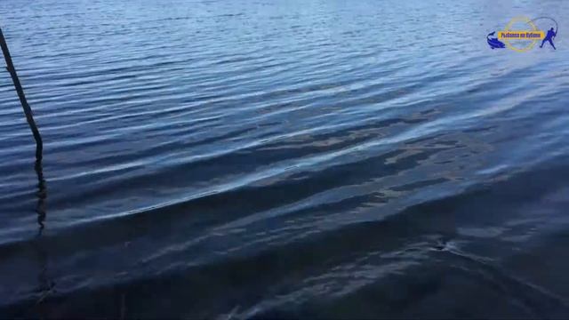 РЫБАЛКА ДЕКАБРЬ , СТАНИЦА БРЫНЬКОВСКАЯ, ЛОВЛЯ ТАРАНИ/// Рыбалка на кубани /// Выпуск № 2 смотреть онлайн