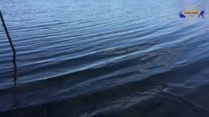 РЫБАЛКА ДЕКАБРЬ , СТАНИЦА БРЫНЬКОВСКАЯ, ЛОВЛЯ ТАРАНИ/// Рыбалка на кубани /// Выпуск № 2