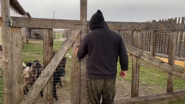 С ТАКОЙ ПОГОДОЙ МОЖНО ОСТАТЬСЯ БЕЗ УРОЖАЯ! НАША ФЕРМА! ЖИЗНЬ ПРОСТЫХ ЛЮДЕЙ В ДЕРЕВНЕ! смотреть онлайн