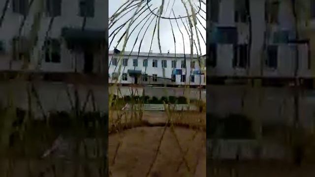 Юрта из Ивы-плетенная конструкция