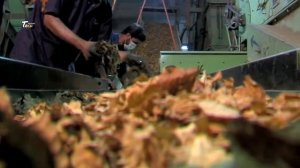 How Cigarettes Is Made In Factory | Marlboro Cigarette Production