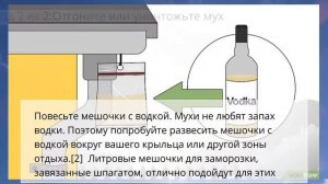 Как избавиться от мух во дворе - Защитите себя от короновируса