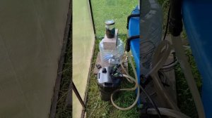 Содержание осетров на даче в бассейне.