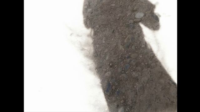 08 Фантастическая Высказка Слова - Иван Мятлев (Сводный Хор Трагикозлов и ВИА Имаго)