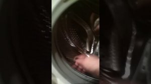 скрип в барабане стиральной машине! как не паниковать и не вызывать мастера