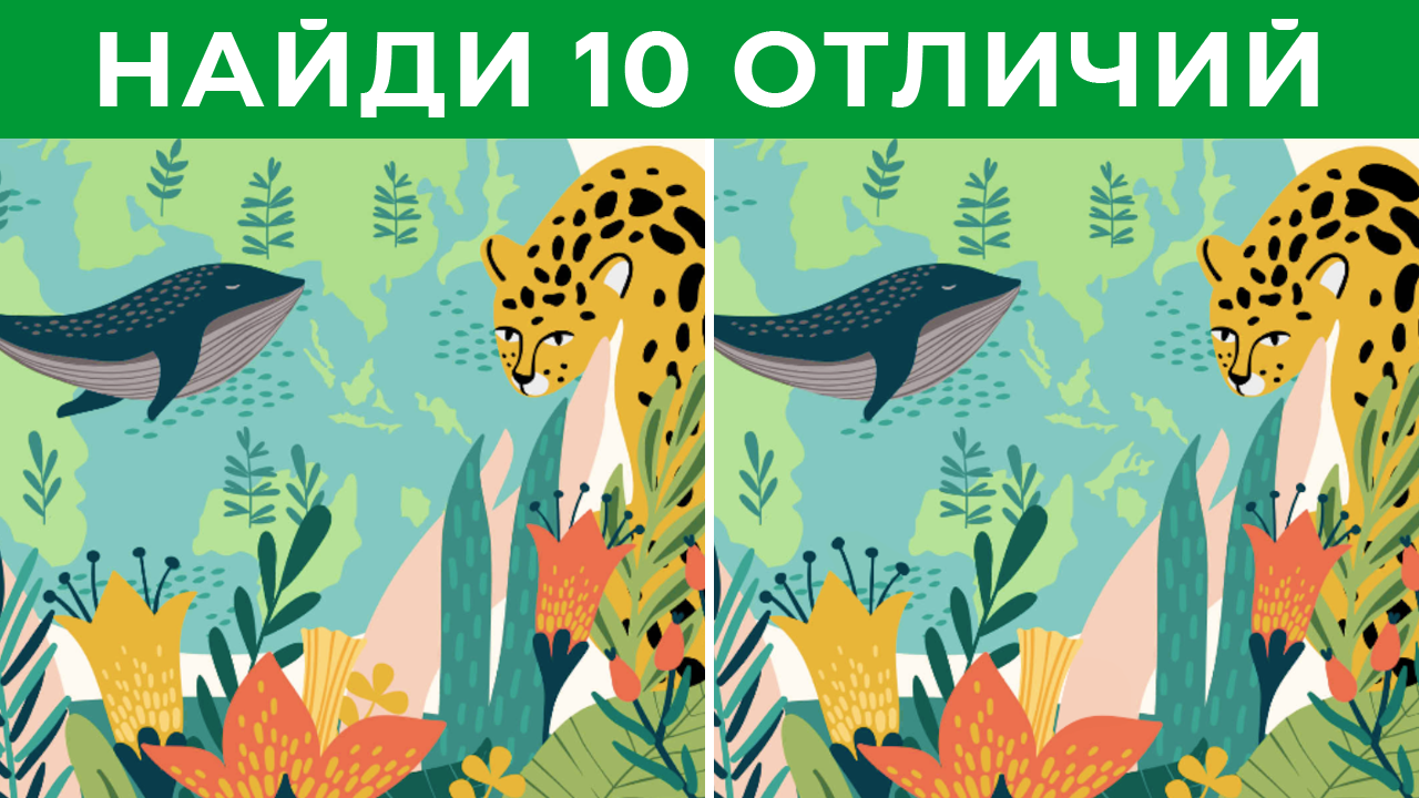 Найди отличия #55