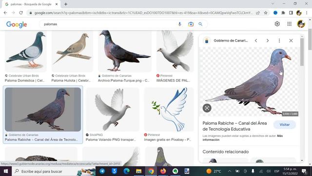 ✅ Como DESCARGAR IMÁGENES *PNG SIN FONDO EN PC* Sin usar herramientas | Método 2024 смотреть онлайн
