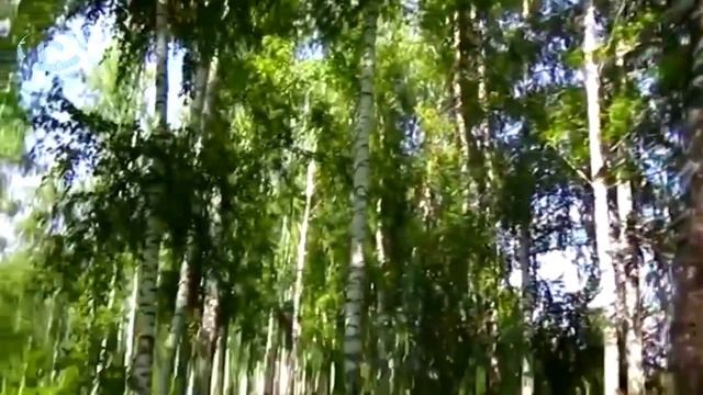 Сумасшедшая