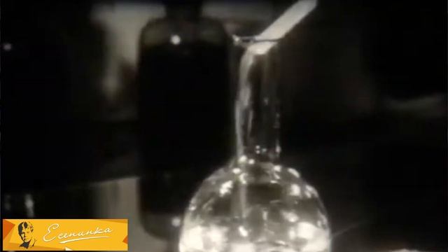 Всемирный день науки смотреть онлайн