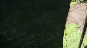 Видео отзыв: забор из сетки 95% затеняющей защитной маскировочной от Кравченко Евгений