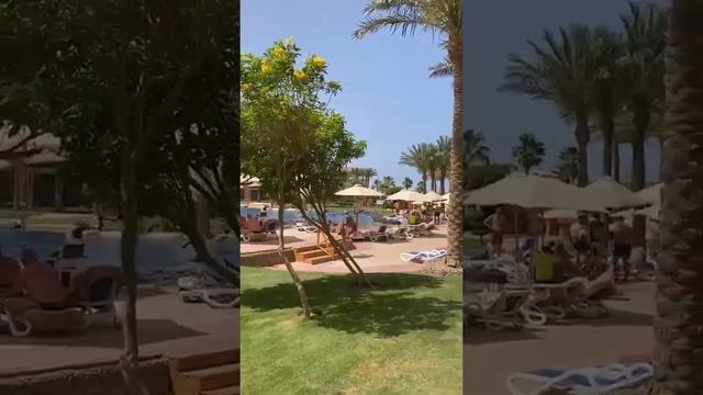 Гуляем по TROPITEL SAHL HASHEESH 5*. Египет. Хургада