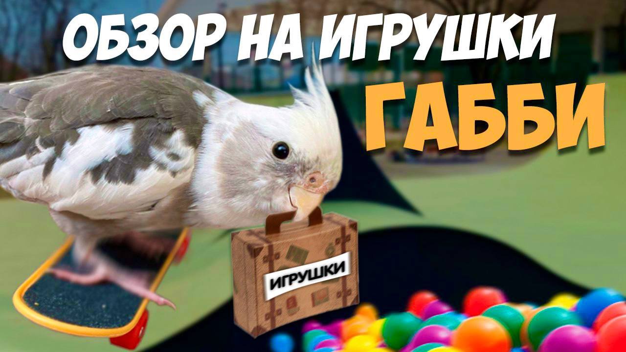 ОБЗОР ИГРУШЕК ДЛЯ ПОПУГАЯ