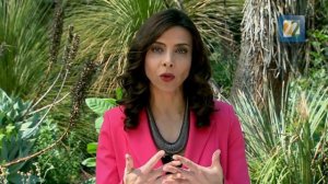 INSTINTO ANIMAL T3 P10 BLOQUE 2 Explotación y rescate de la Totoaba.