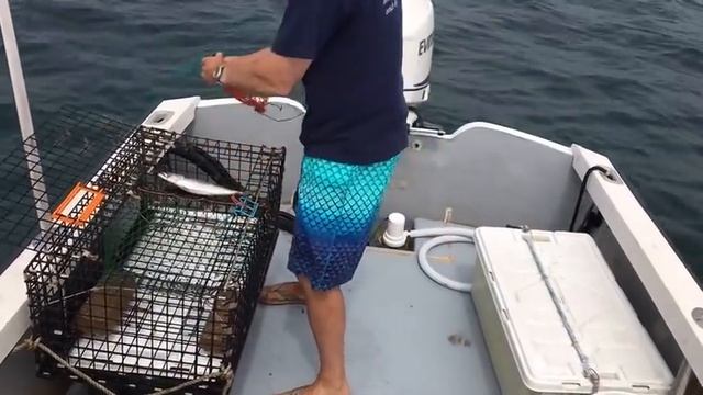 Lobster Fishing in Gloucester Mass смотреть онлайн