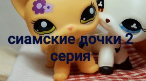 Lps сериал ( сиамские дочки ) серия2