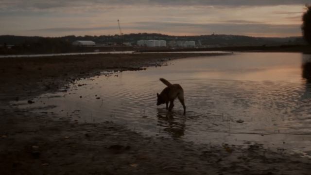 The $60 Vintage Lens for Cinematic Nostalgia смотреть онлайн