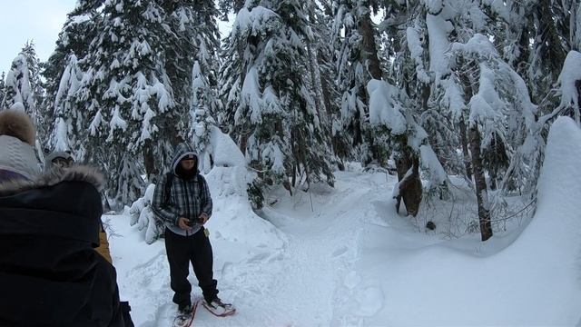 Como volar un drone en la Nieve смотреть онлайн