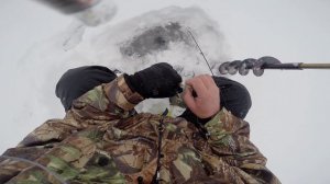 Зимняя блесна Матвейчикова 40мм и Капля-окуневая 40мм