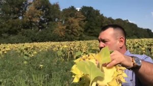 Бинарные посевы Андрея Усова