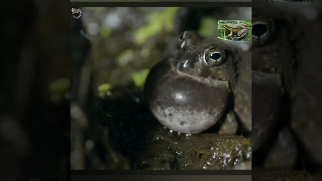 ОНИ НЕ ПОХОЖИ на ВЗРОСЛЫХ смотреть онлайн