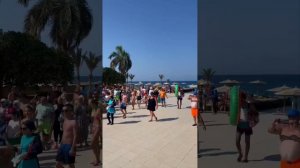 ► ПРАЗДНИК ФРУКТОВ.
Palm Beach Resort Hurghada Egypt