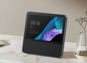 Умный дисплей Xiaomi Smart Home Screen 10 Smart Speaker