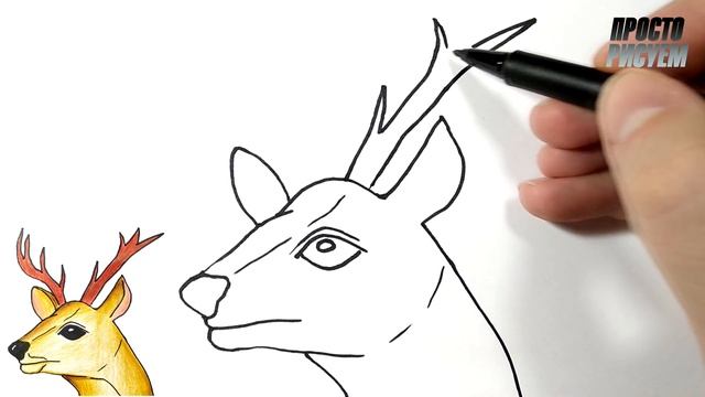 Как легко нарисовать ОЛЕНЯ, Просто рисуем смотреть онлайн