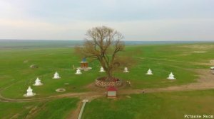 2021.04 Священное дерево под Элистой