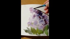 Сирень акварелью