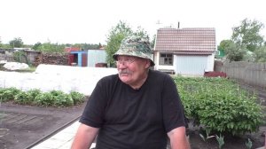 Загадочный случай с рассадой перцев