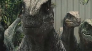 Jurassic World Evolution 2  |  Велоцираптор | Руководство по полевым видам